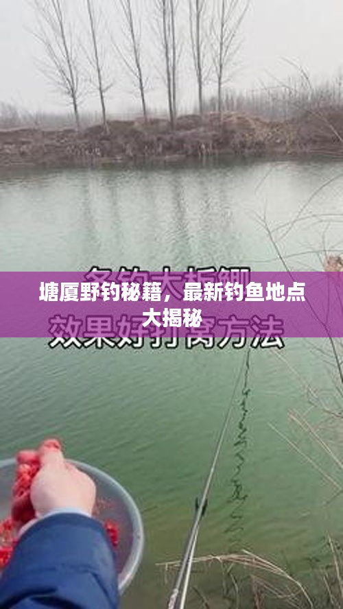 久别重逢 第2页