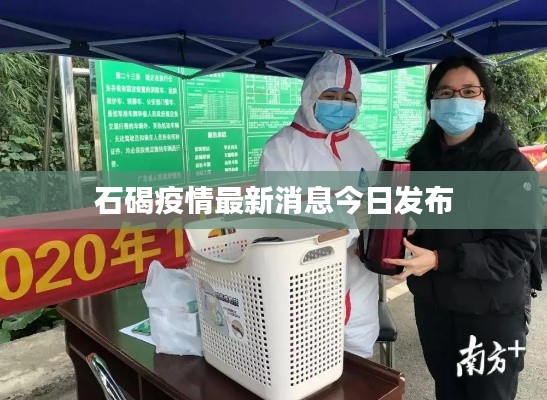 笨鸟先飞 第2页