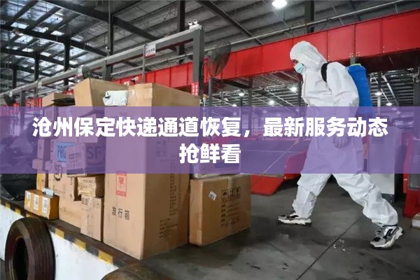 沧州保定快递通道恢复，最新服务动态抢鲜看