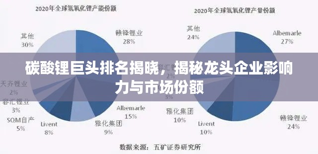 碳酸锂巨头排名揭晓，揭秘龙头企业影响力与市场份额