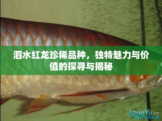 步履如飞 第2页
