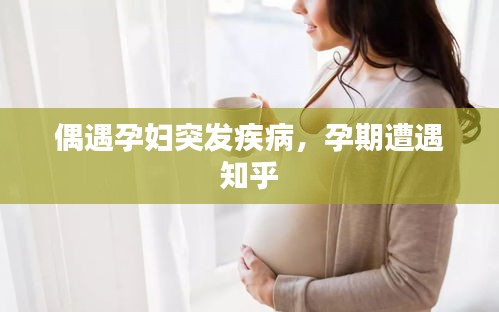鸟面鹄形 第2页