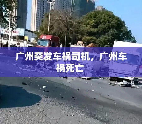 ziyouzizai 第2页