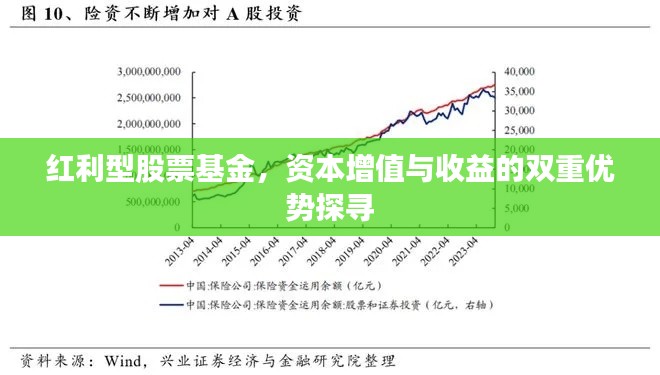 红利型股票基金，资本增值与收益的双重优势探寻
