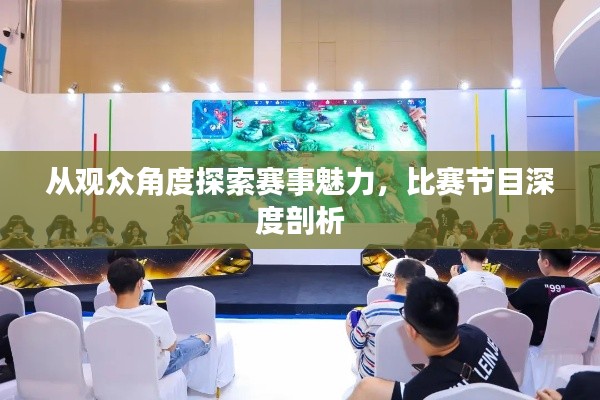 从观众角度探索赛事魅力，比赛节目深度剖析