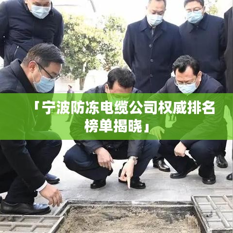 「宁波防冻电缆公司权威排名榜单揭晓」