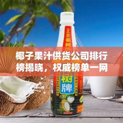 椰子果汁供货公司排行榜揭晓，权威榜单一网打尽！