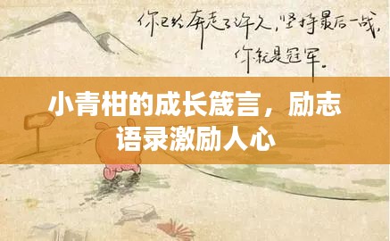 小青柑的成长箴言，励志语录激励人心