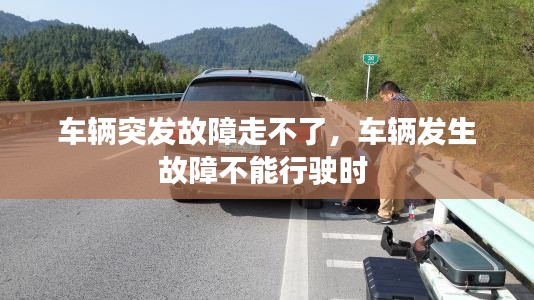 jinxinjieli 第2页