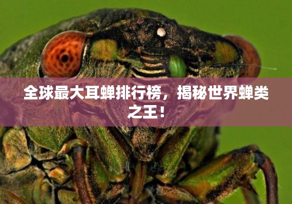 束手就禽 第2页
