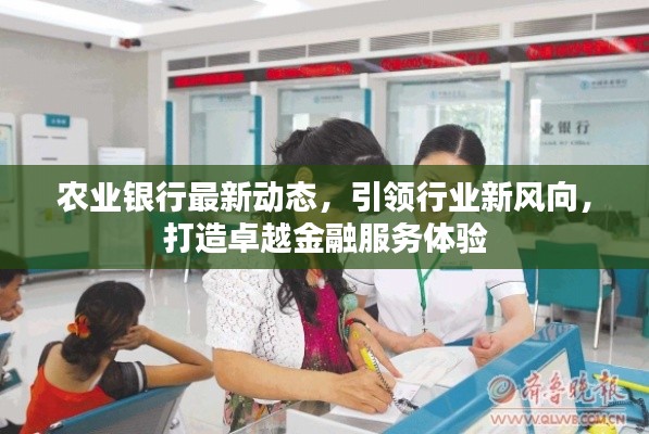 农业银行最新动态，引领行业新风向，打造卓越金融服务体验