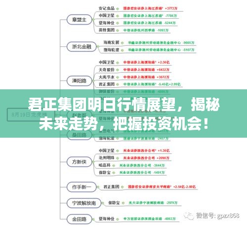 君正集团明日行情展望，揭秘未来走势，把握投资机会！
