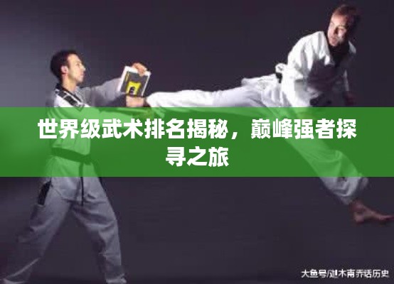 世界级武术排名揭秘，巅峰强者探寻之旅