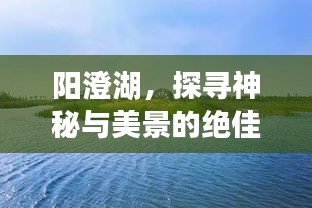 澳朗口腔项目 第89页