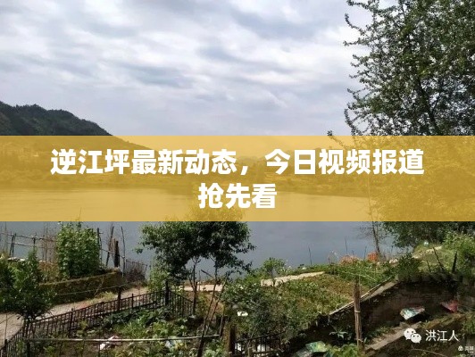 逆江坪最新动态，今日视频报道抢先看