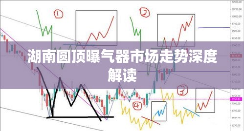湖南圆顶曝气器市场走势深度解读