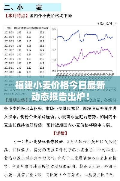 福建小麦价格今日最新动态报告出炉！