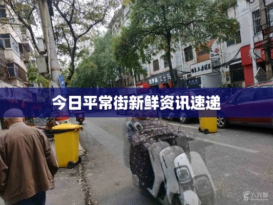 今日平常街新鲜资讯速递