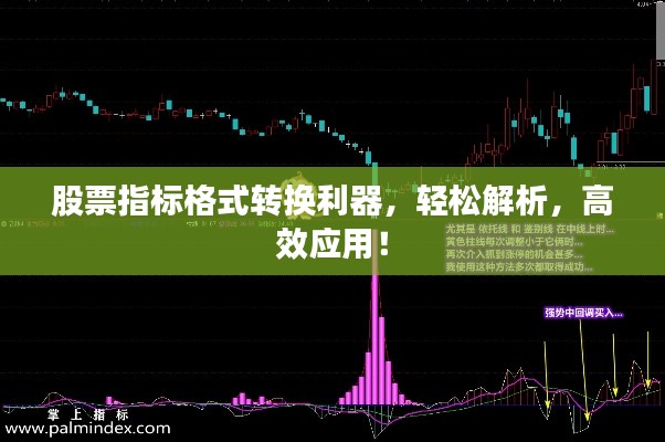 股票指标格式转换利器，轻松解析，高效应用！
