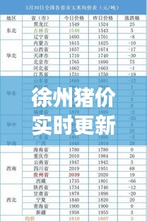 徐州猪价实时更新，最新动态与市场走势分析