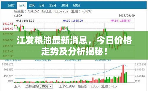 江发粮油最新消息，今日价格走势及分析揭秘！