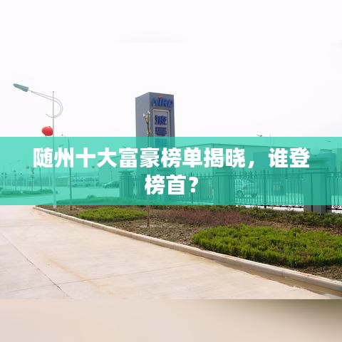 随州十大富豪榜单揭晓，谁登榜首？