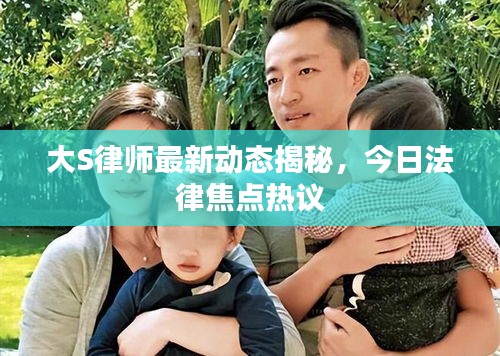 大S律师最新动态揭秘，今日法律焦点热议