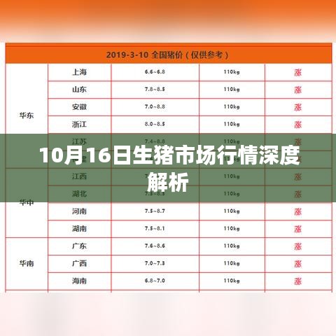 10月16日生猪市场行情深度解析