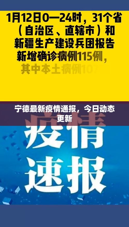 宁德最新疫情通报，今日动态更新