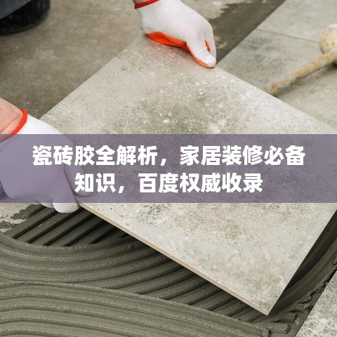 瓷砖胶全解析，家居装修必备知识，百度权威收录