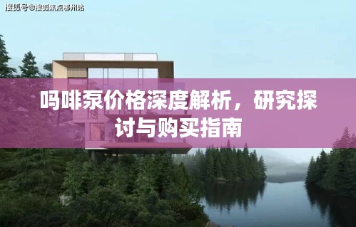 吗啡泵价格深度解析，研究探讨与购买指南