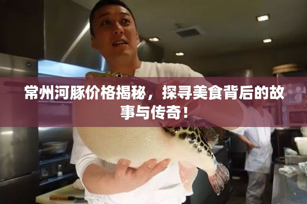 常州河豚价格揭秘，探寻美食背后的故事与传奇！