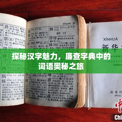 探秘汉字魅力，廉查字典中的词语奥秘之旅