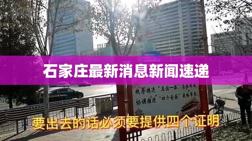 石家庄最新消息新闻速递