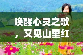 唤醒心灵之歌，又见山里红，深情演绎自然之美