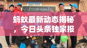 蚂蚁最新动态揭秘，今日头条独家报道