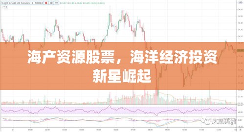海产资源股票，海洋经济投资新星崛起