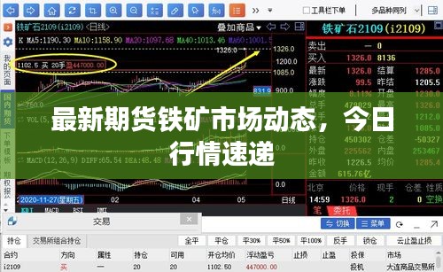 最新期货铁矿市场动态，今日行情速递