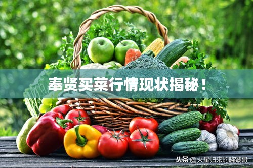 澳朗口腔简介 第49页