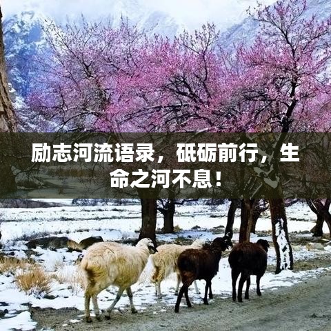 励志河流语录，砥砺前行，生命之河不息！