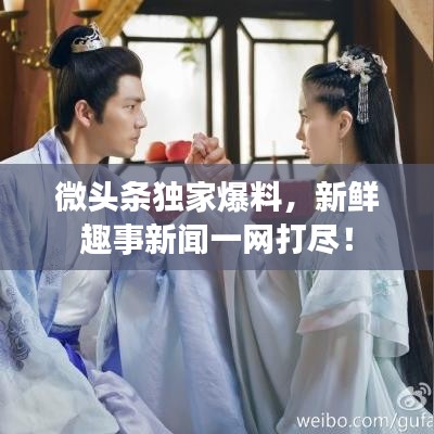 微头条独家爆料，新鲜趣事新闻一网打尽！