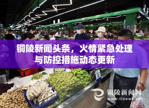 铜陵新闻头条，火情紧急处理与防控措施动态更新