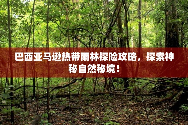 绝无仅有