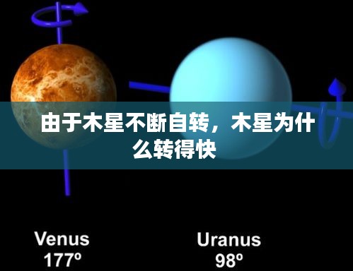 百鸟归巢