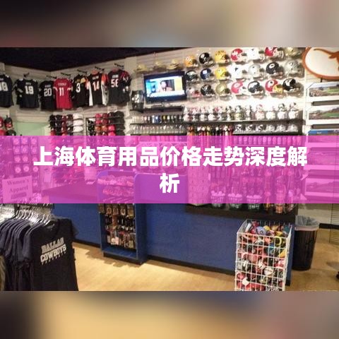 上海体育用品价格走势深度解析