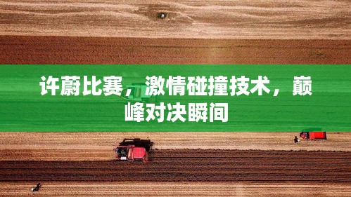 许蔚比赛，激情碰撞技术，巅峰对决瞬间