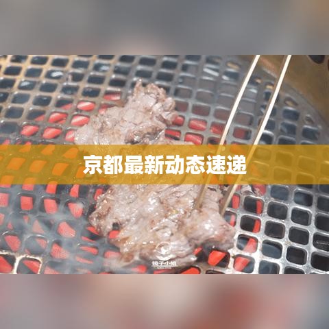京都最新动态速递