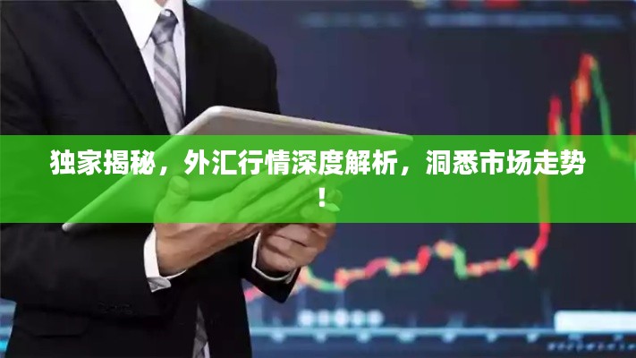独家揭秘，外汇行情深度解析，洞悉市场走势！