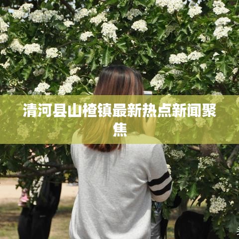 清河县山楂镇最新热点新闻聚焦