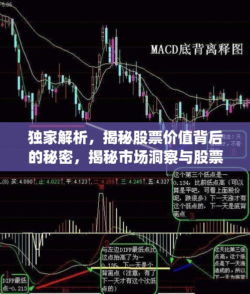 独家解析，揭秘股票价值背后的秘密，揭秘市场洞察与股票走势——聚焦22.6元股票深度剖析